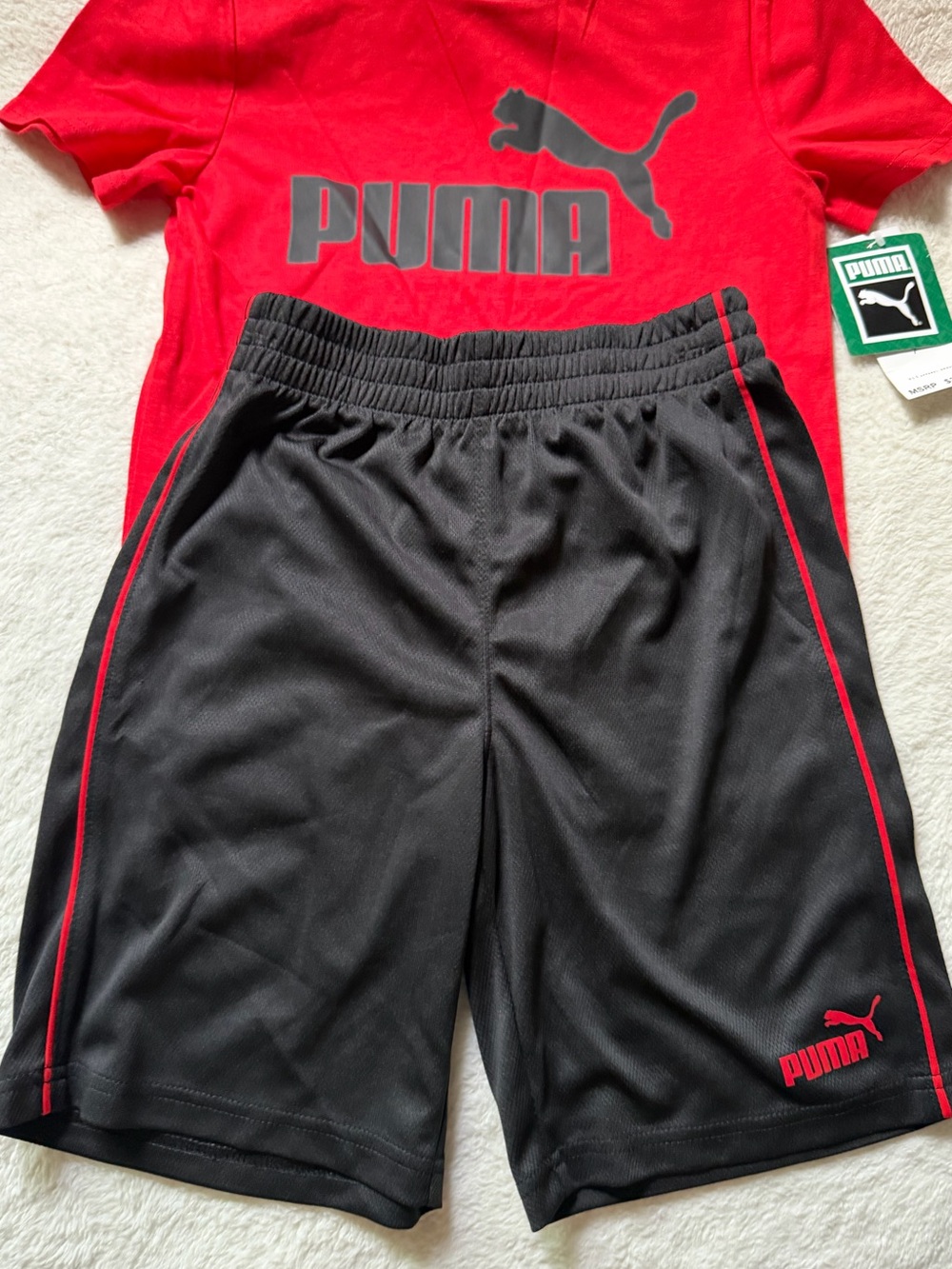 Puma Set - Picture 3 of 3